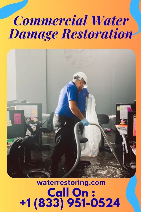 Commercial Water Damage Restoration in Five Points, FL