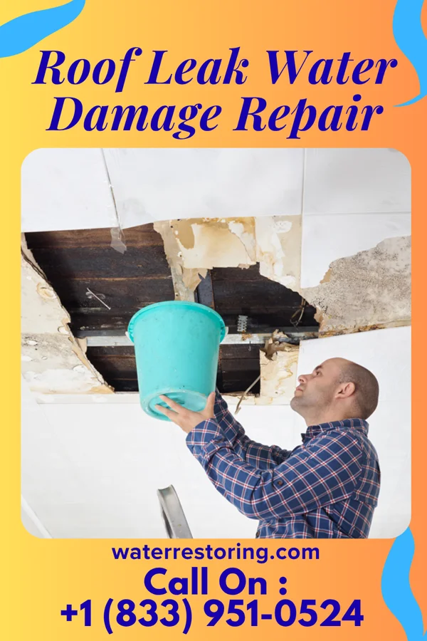 Roof Leak Water Damage Repair in Five Points, FL